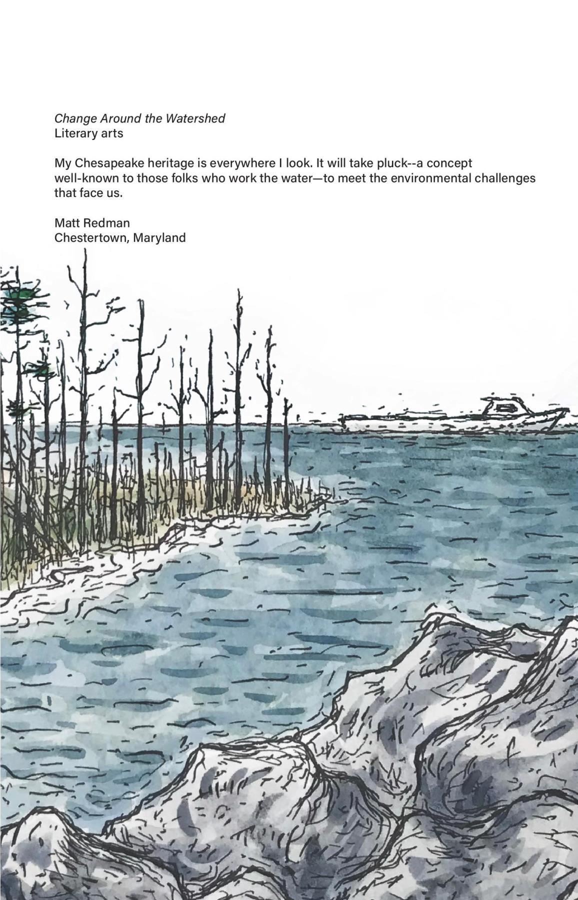 CBMM catalog image